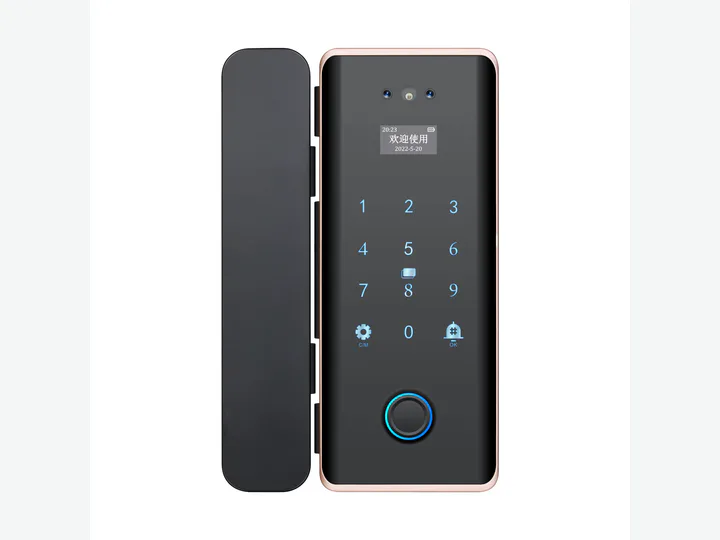 Tuya 3D Face Smart Glass Door Lock Security Camera Facial Recognition...