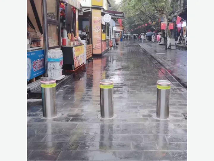 Automatic Bollards BSN-F300(X)